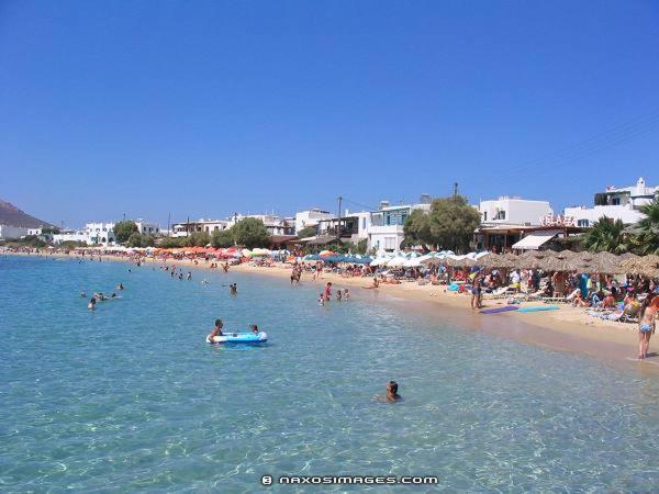 Dolphin Studios Agia Anna  Esterno foto