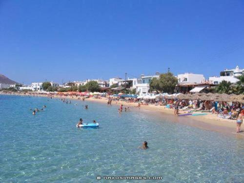 Dolphin Studios Agia Anna  Esterno foto