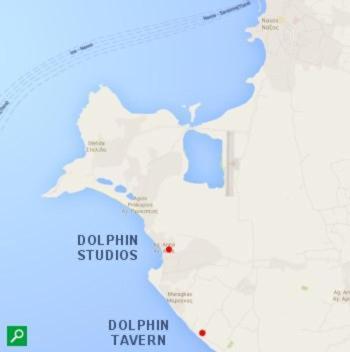 Dolphin Studios Agia Anna  Esterno foto