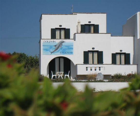 Dolphin Studios Agia Anna  Esterno foto